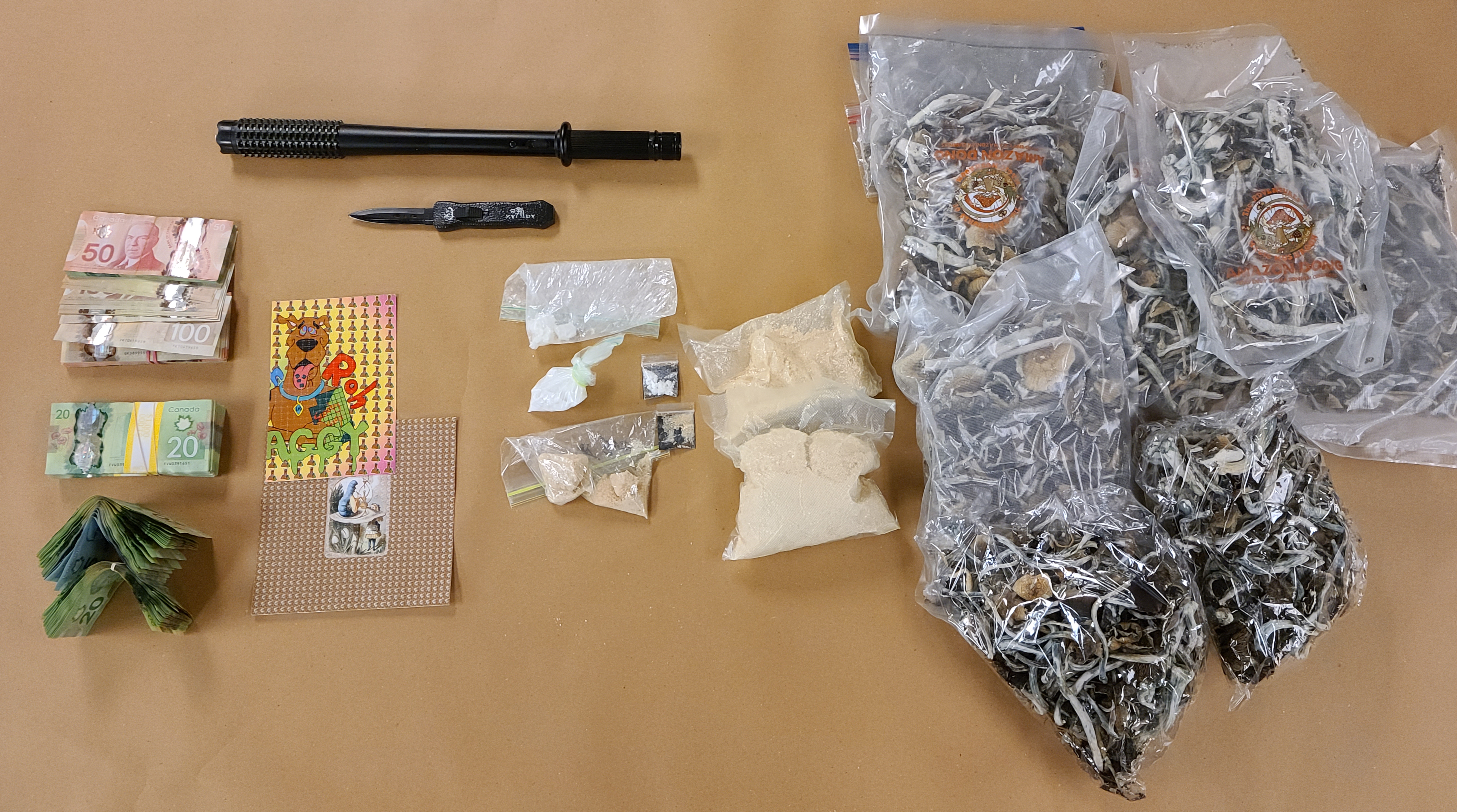 Image of seized items