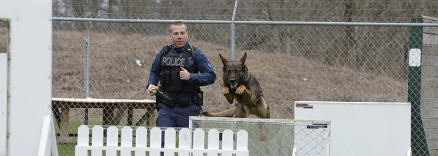 K9 Officer and K9 running through obstacle course