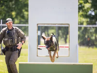 LPS K9 officer and K9 running obstacle course
