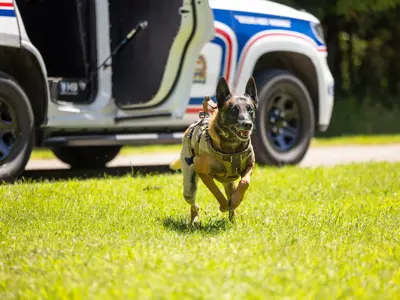 LPS K9 Exiting K9 SUV at full run