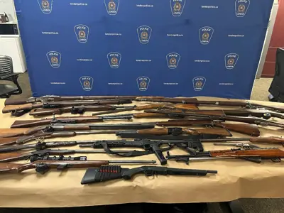 Image of the seized items