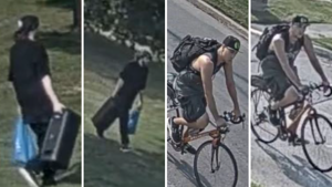 These are images of the suspect males