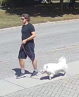 This is an image of the suspect male