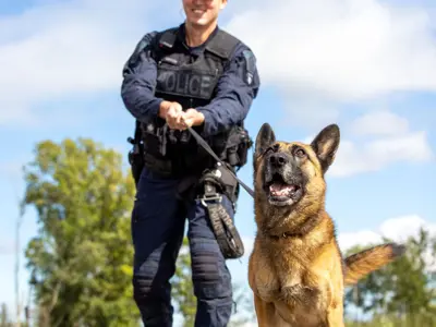 Canine Officer, K9 dog on leash