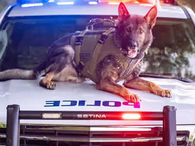 LPS K9 on top of LPS K9 cruiser