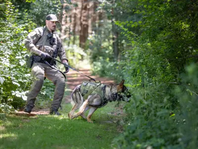 LPS K9 officer  and K9 entering wooded area